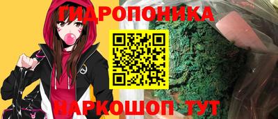 стафф Туймазы